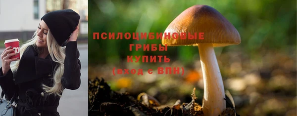 PSILOCYBIN Верхнеуральск