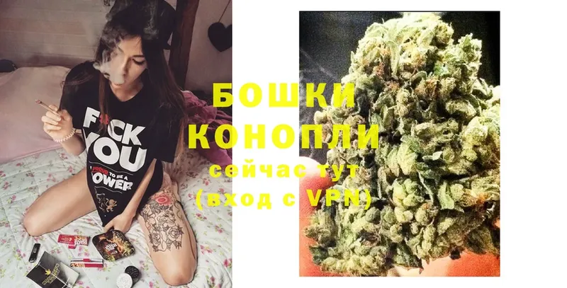 Бошки марихуана план  хочу наркоту  Котлас 